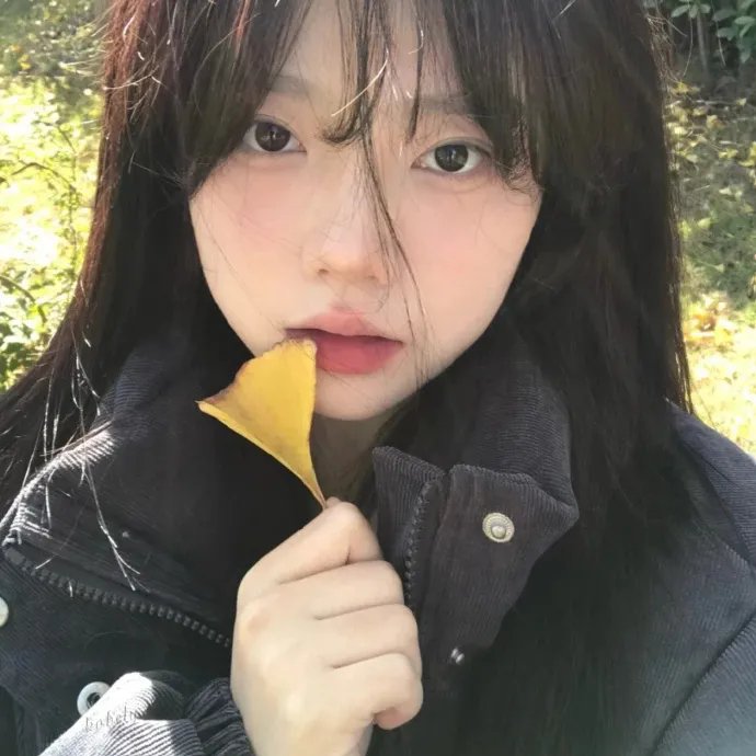 万花嬉春